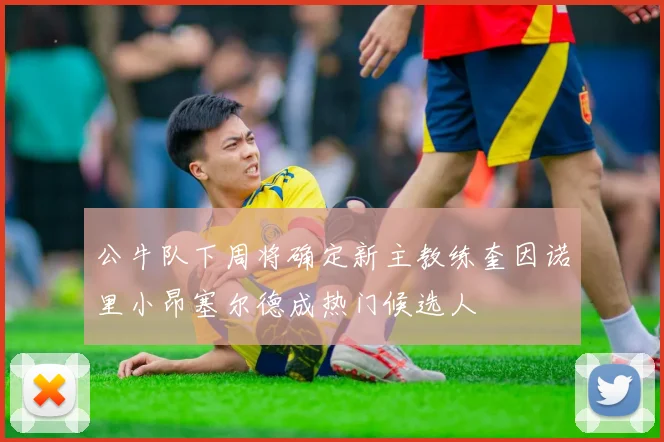 公牛队下周将确定新主教练奎因诺里小昂塞尔德成热门候选人